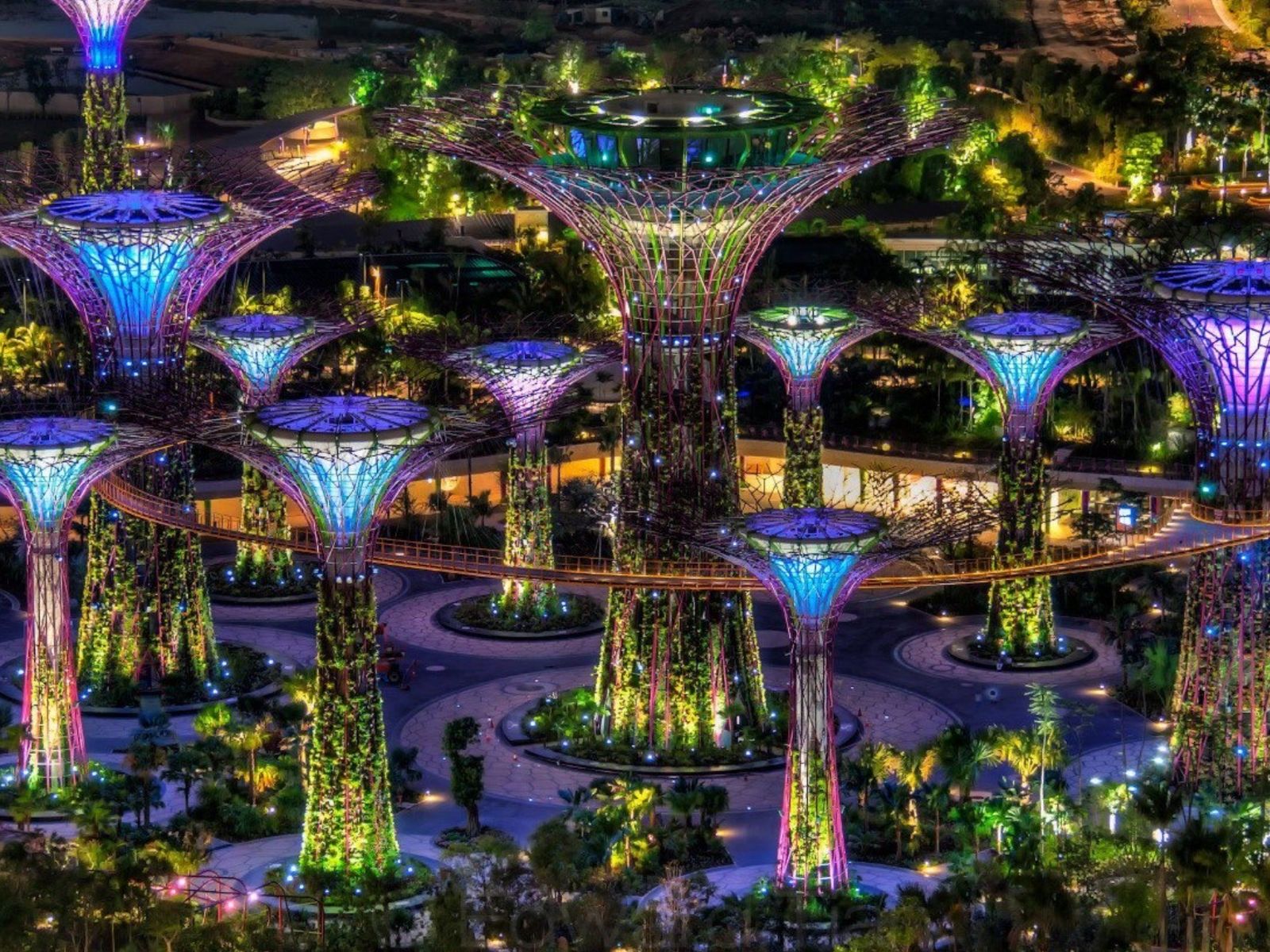 Сады у залива