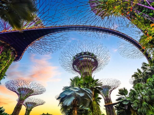 Обзорная экскурсия в Сингапуре для транзитных путешественников