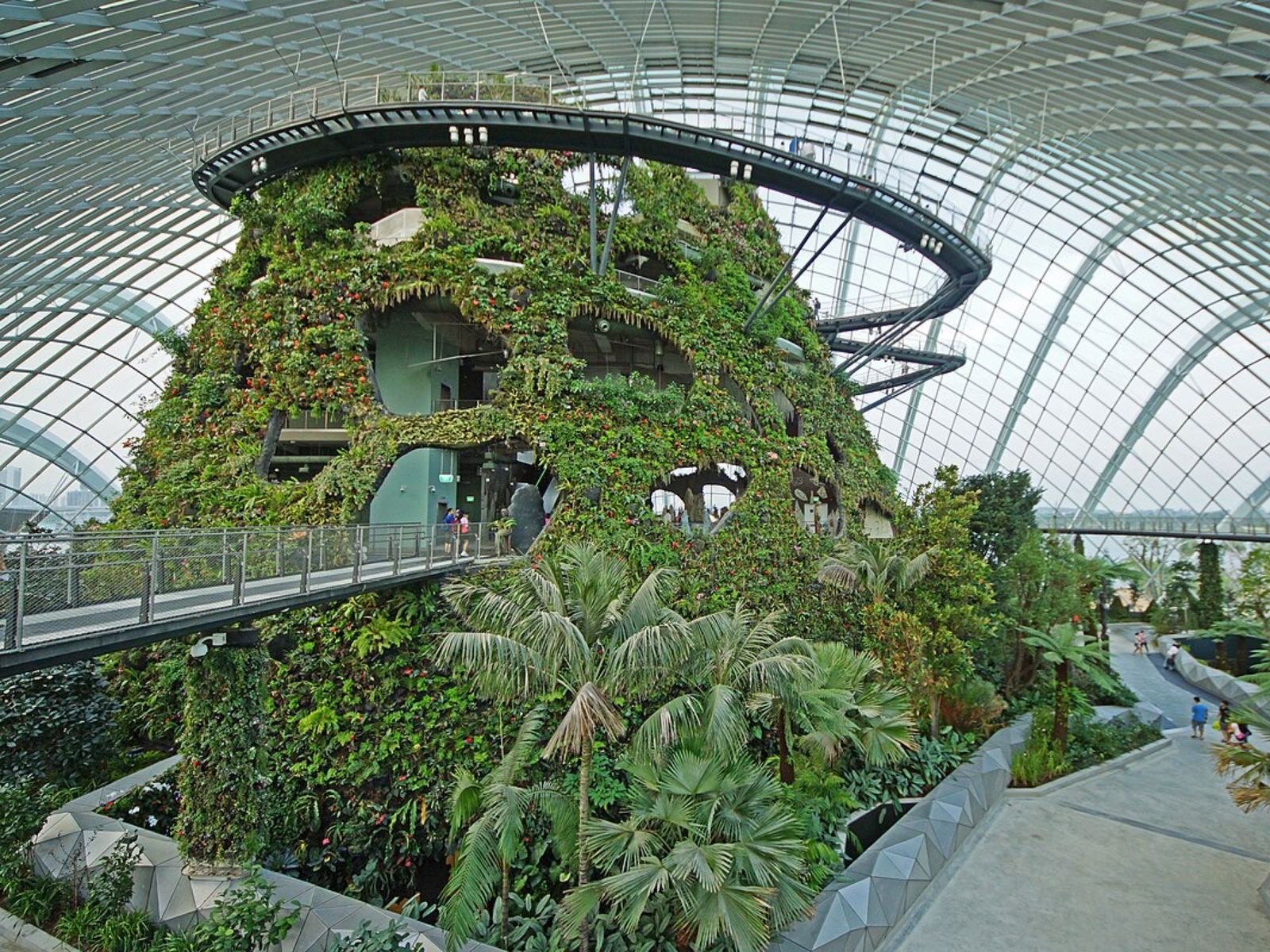 Ботанический сад