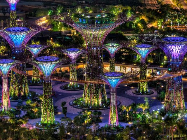 Индивидуальная экскурсия в Сингапуре по парку "Сады у Залива"