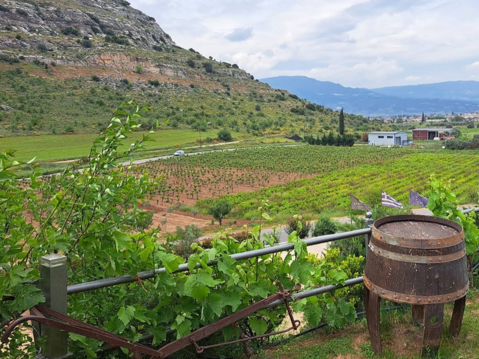 Виноградники в Немее