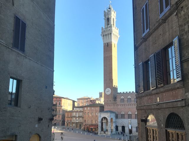 Авторская экскурсия по основным музеям Сиены