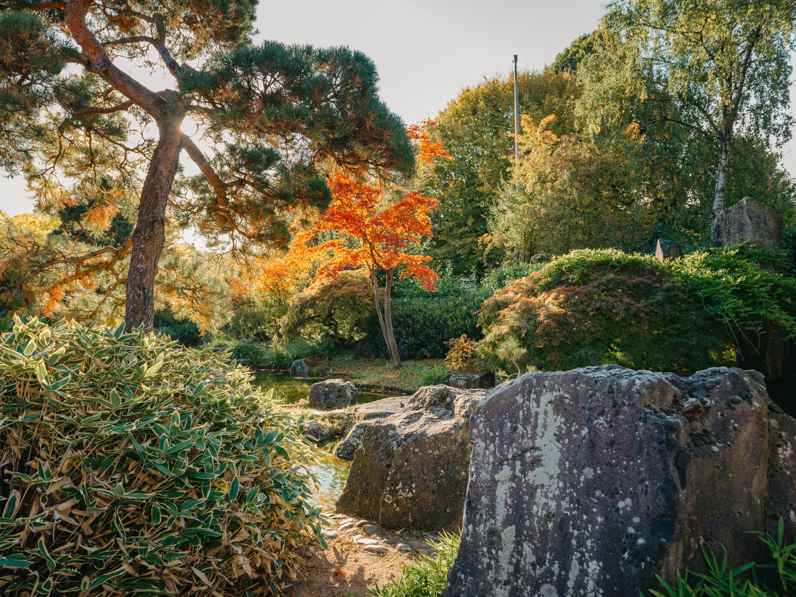 Японский сад