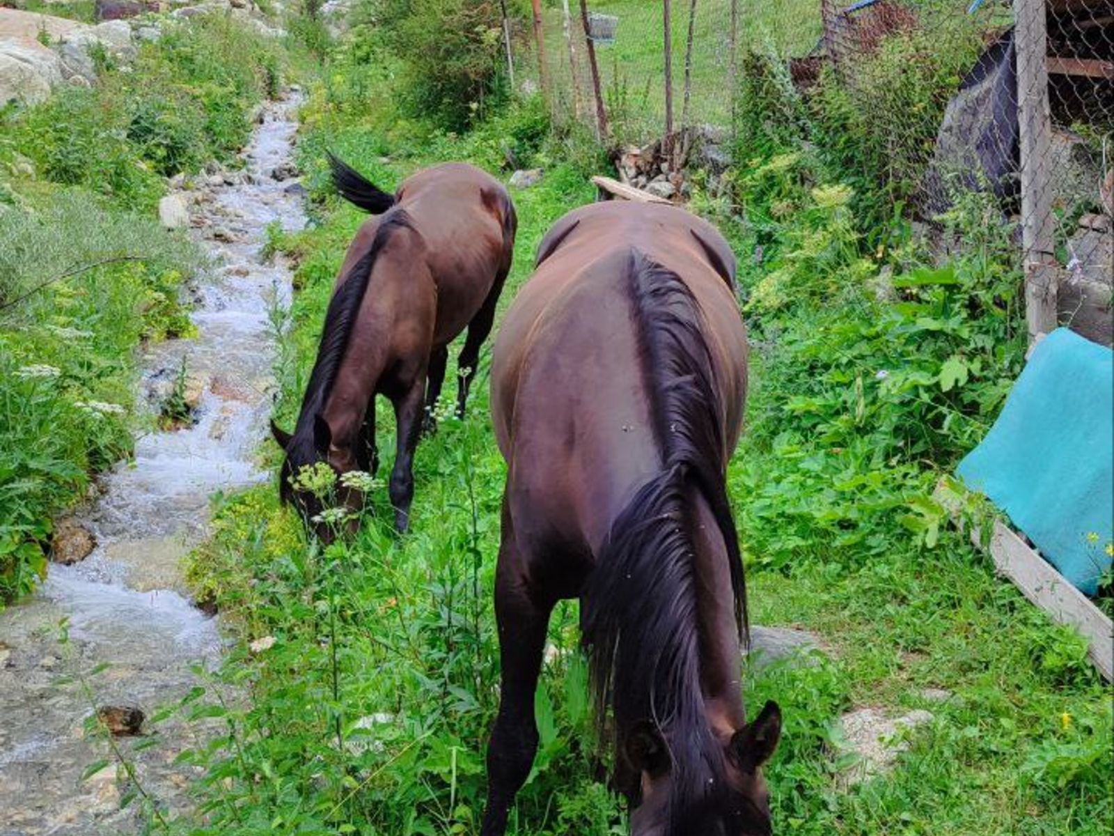 Баксанское ущелье