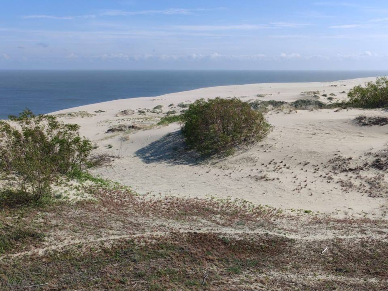 Куршская коса