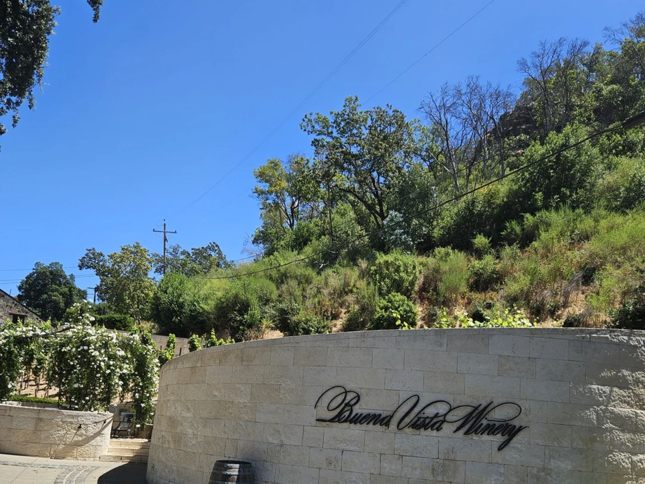 Винная экскурсия из Сан-Франциско по долинам Сонома и Напа - индивидуальная экскурсия в Сан-Франциско на машине гида длительностью 8 часов с количеством участников до 6 человек цена экскурсии 850$