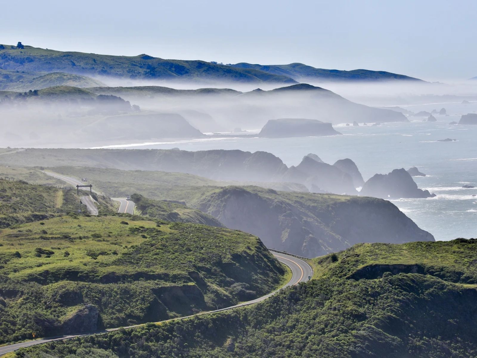 Вид по дороге в Мьюрский лес