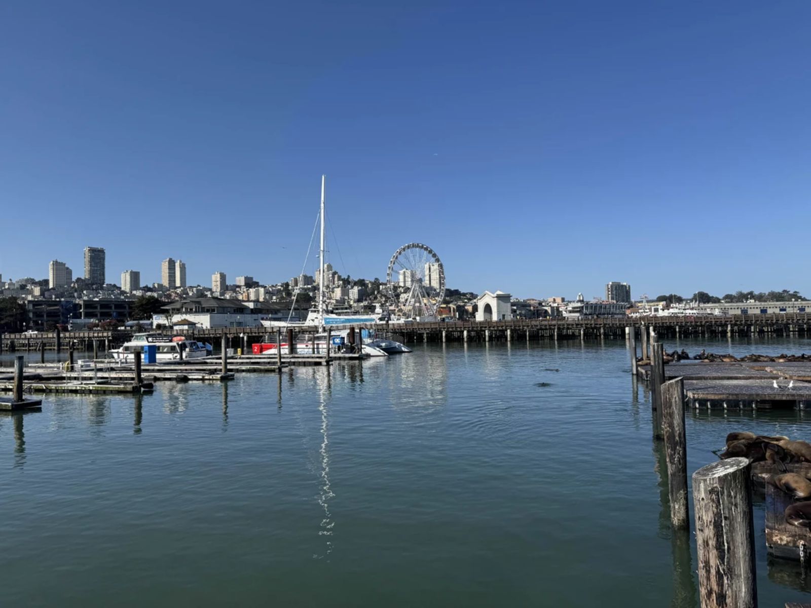 Вид на Pier 39 с воды