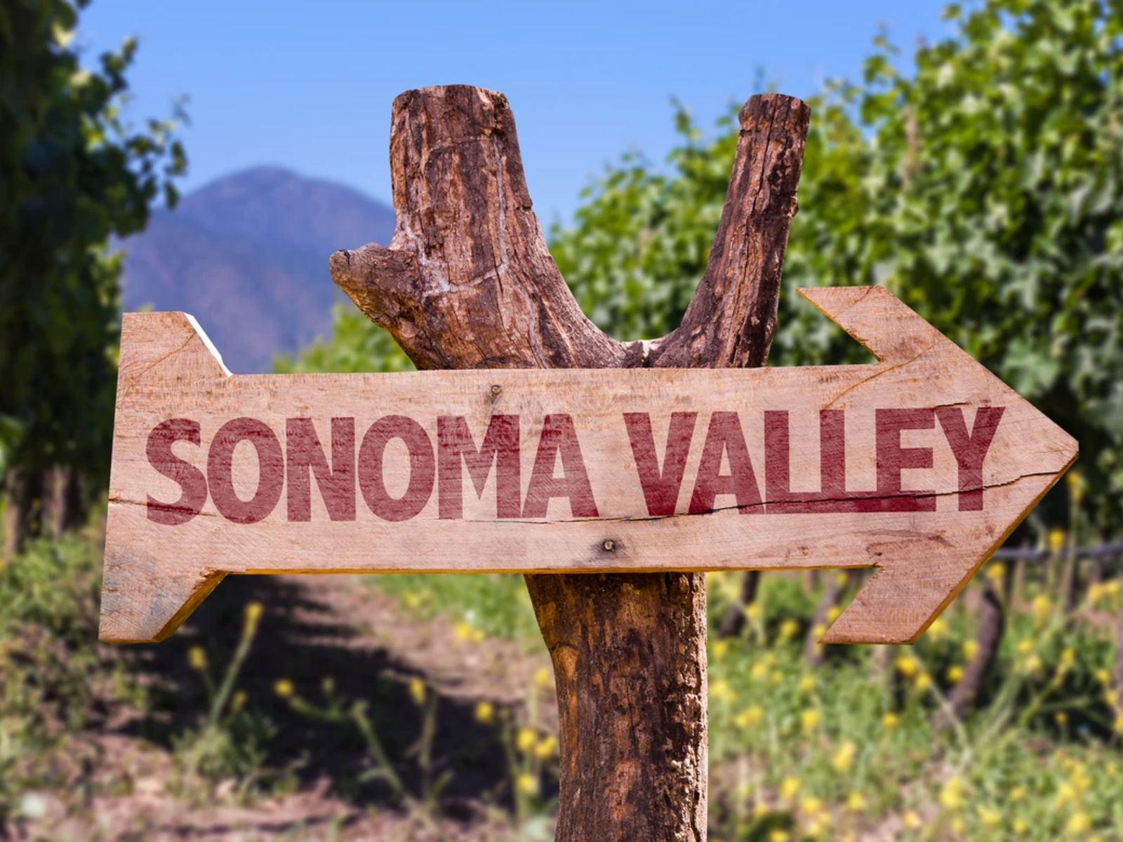 Въезд в Соному