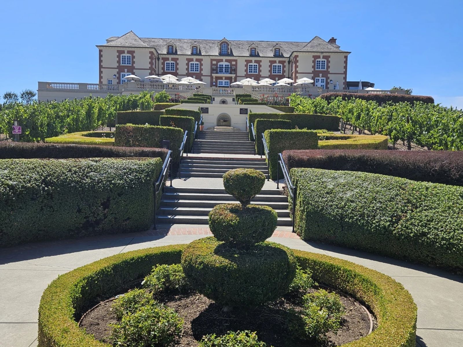 Винодельня