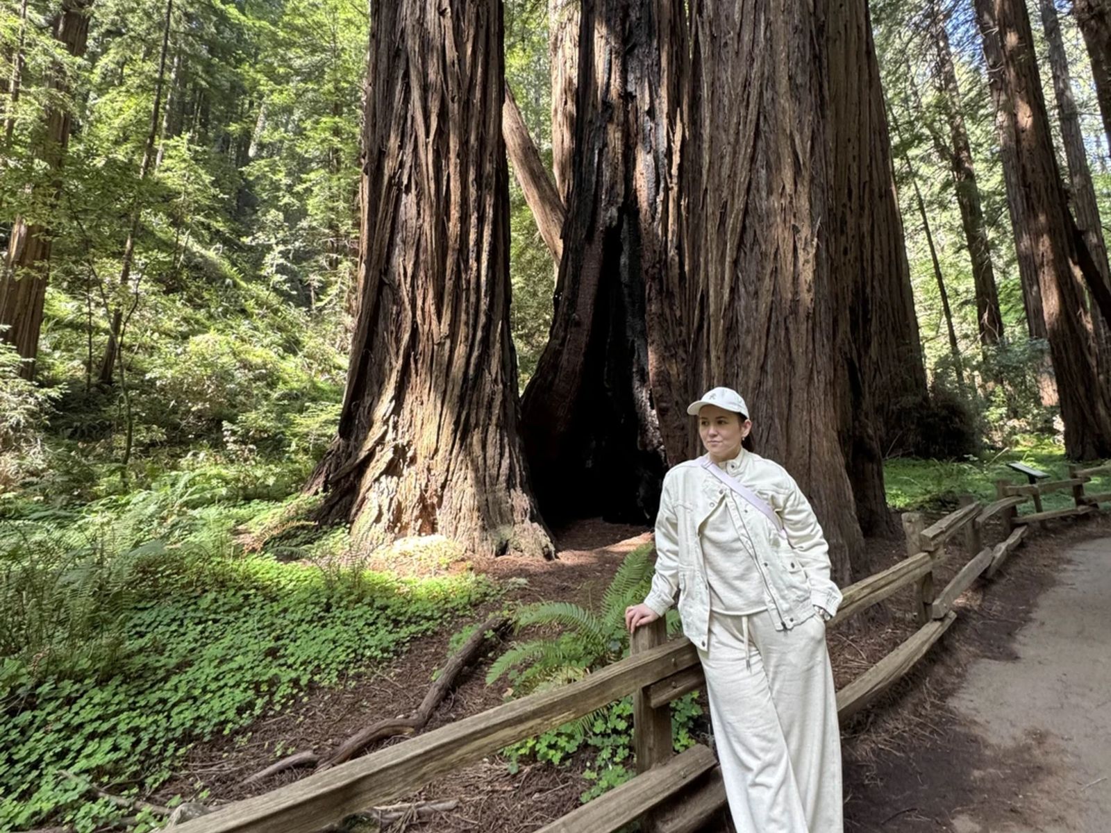Туристка в Мьюрском лесу