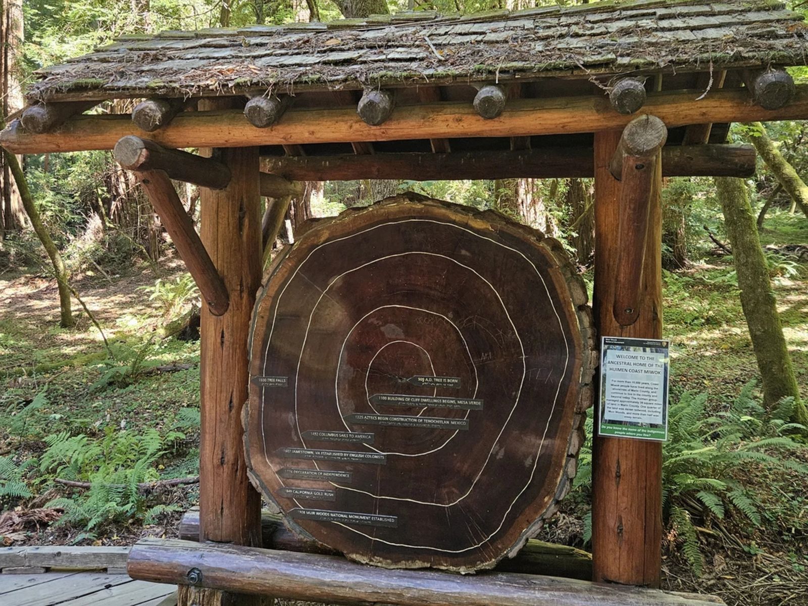 Мьюрский лес