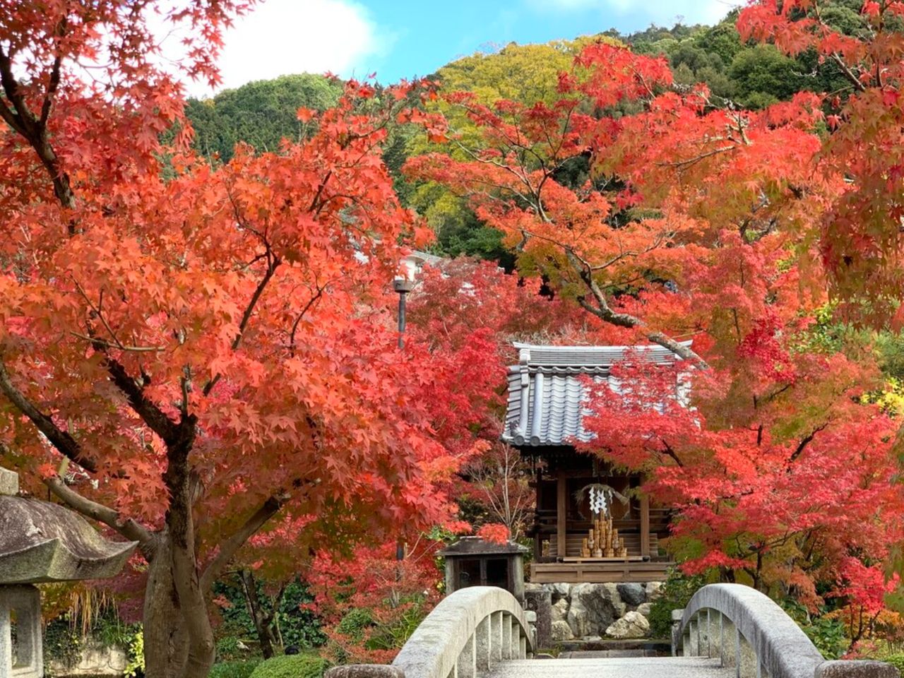 Индивидуальная обзорная экскурсия по осеннему Киото - индивидуальная экскурсия в Киото длительностью 7 часов с количеством участников до 4 человек цена экскурсии 395€