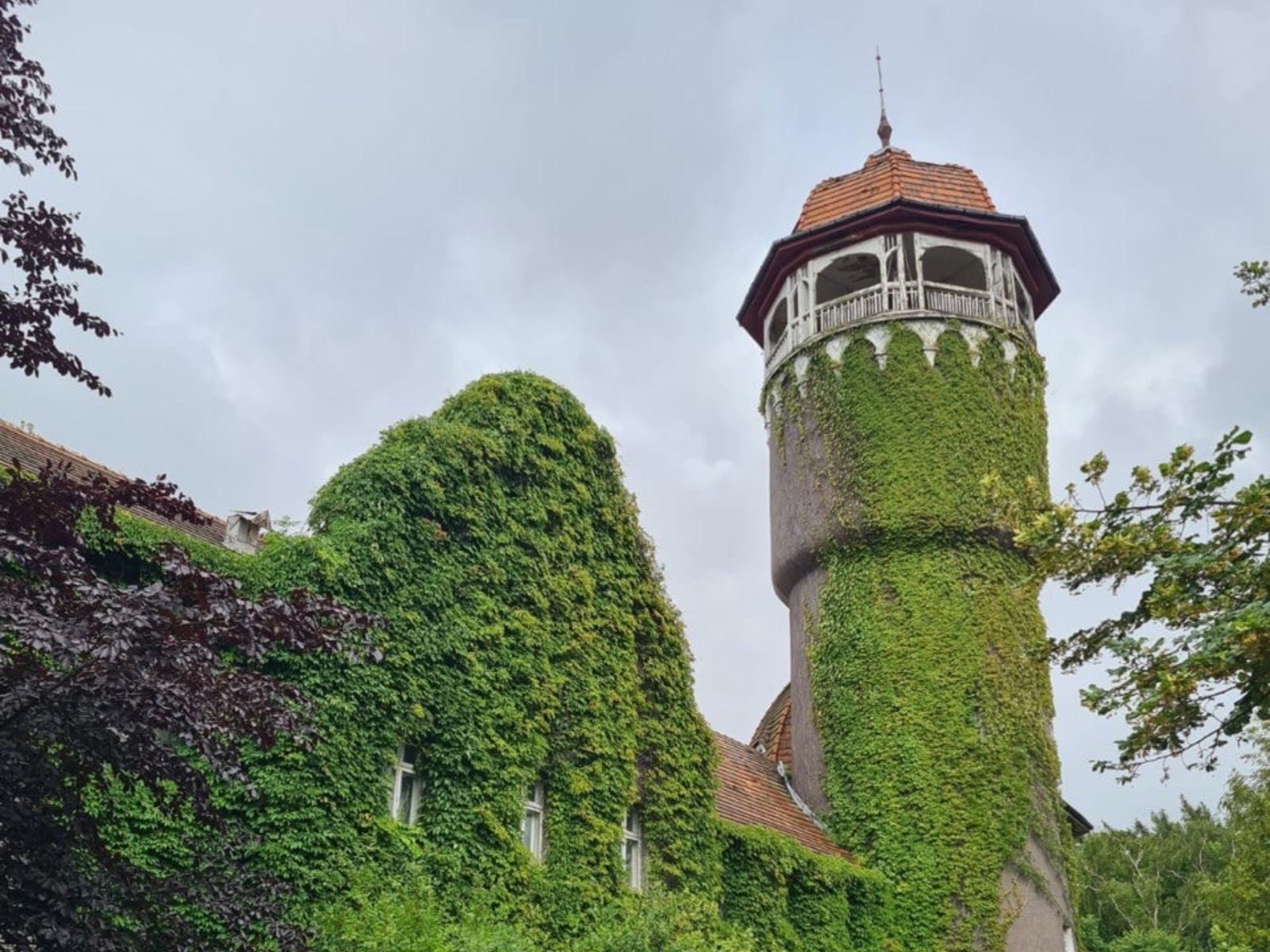 Здания Светлогорска