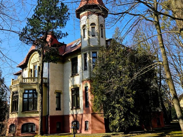 Индивидуальная экскурсия по району Амалиенау в Калининграде