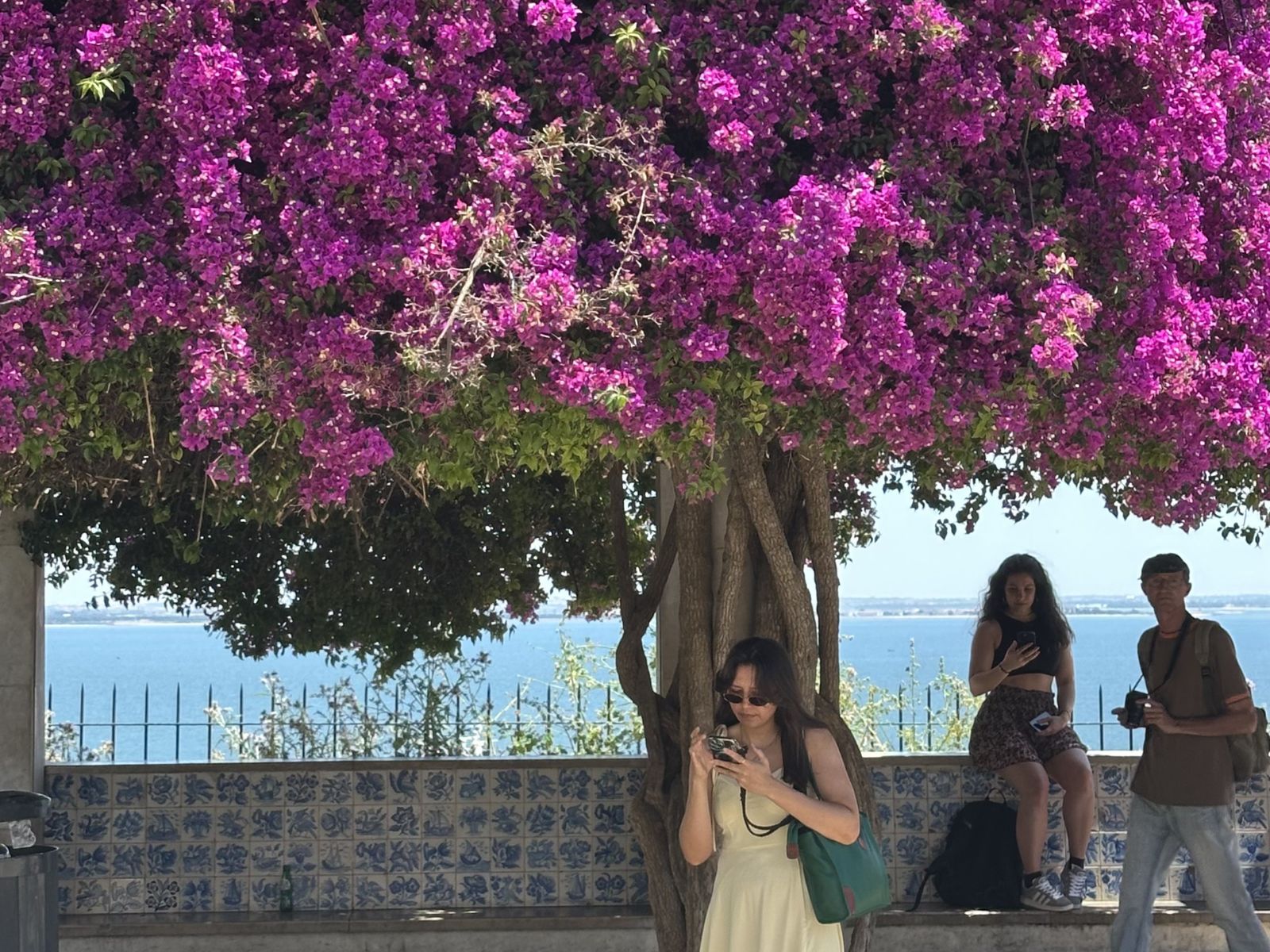 Район Лиссабона Алфама