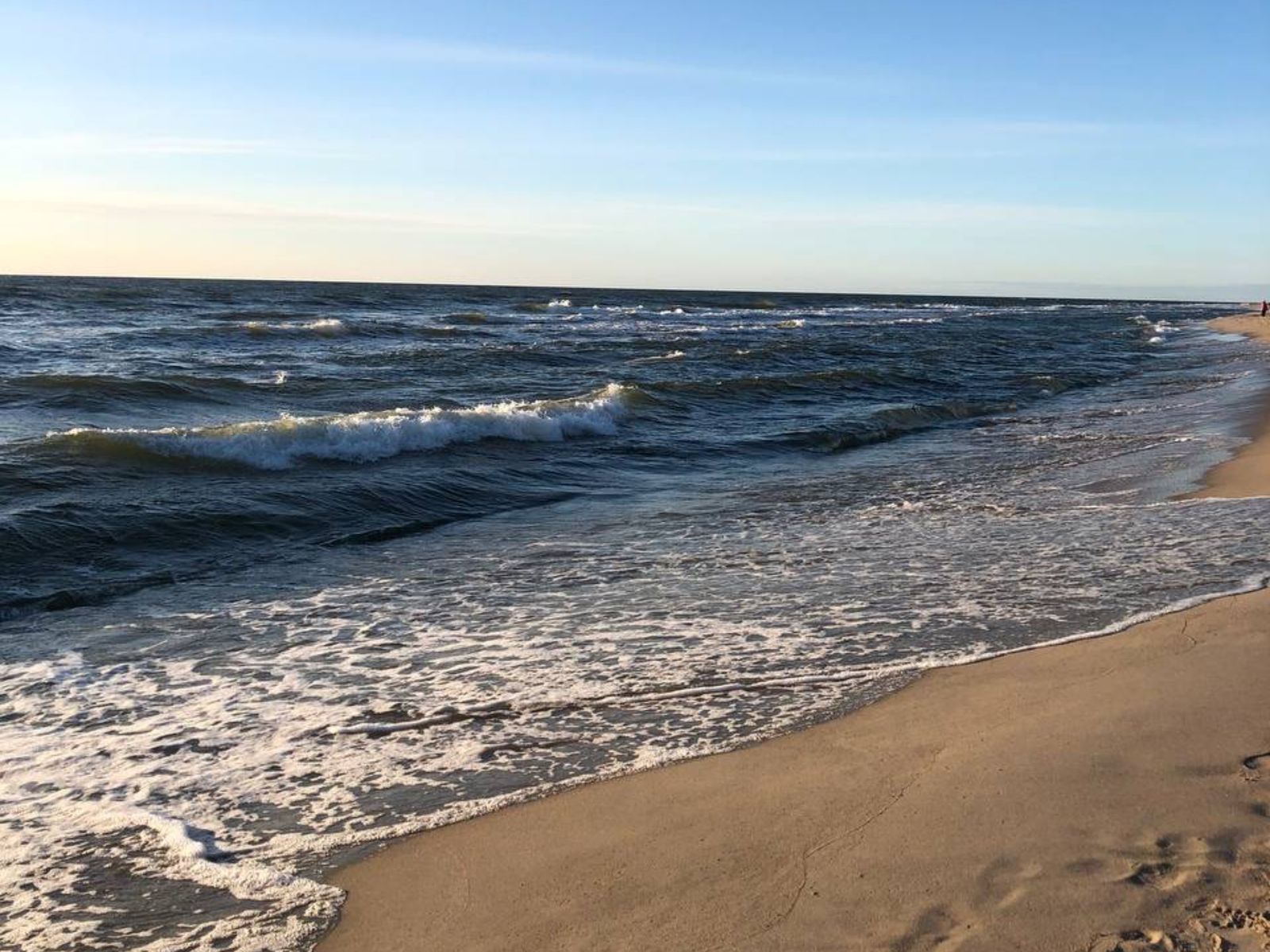 Куршская коса