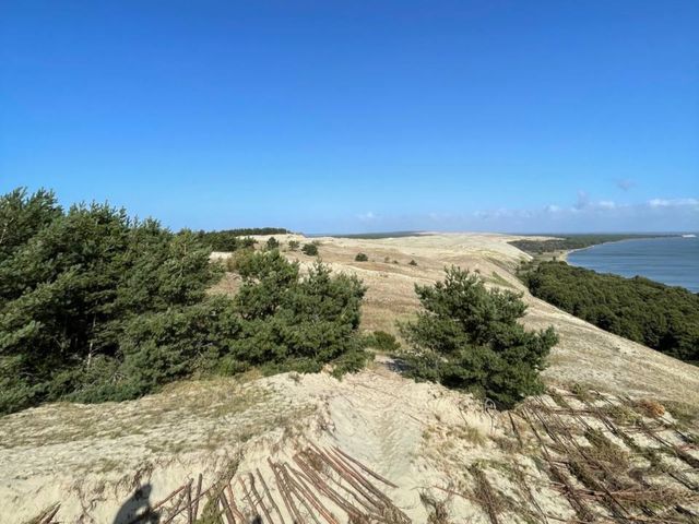 Экскурсия на 2 дня: Калининград, Куршская коса и Зеленоградск — фото 2