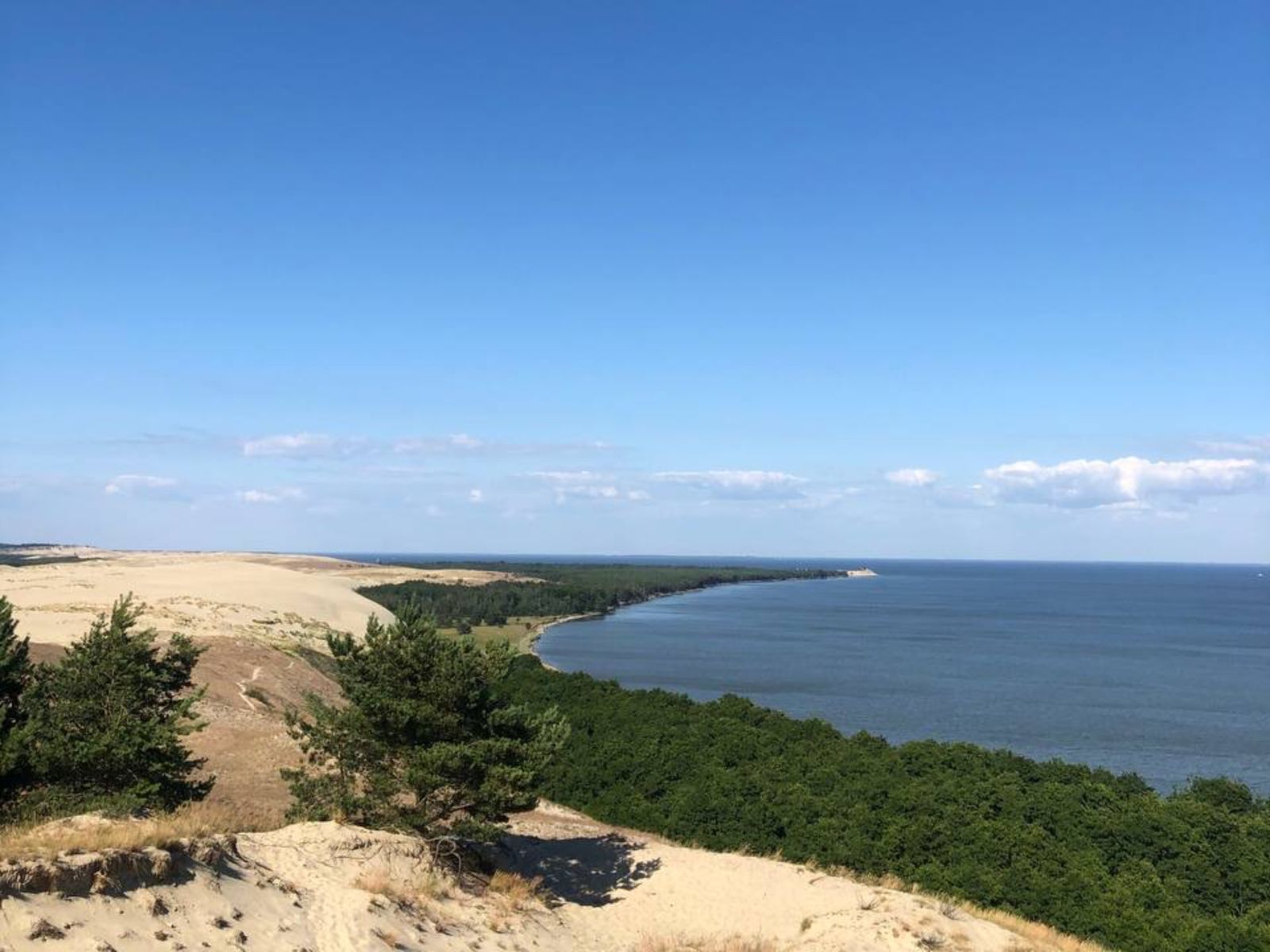 Куршская коса