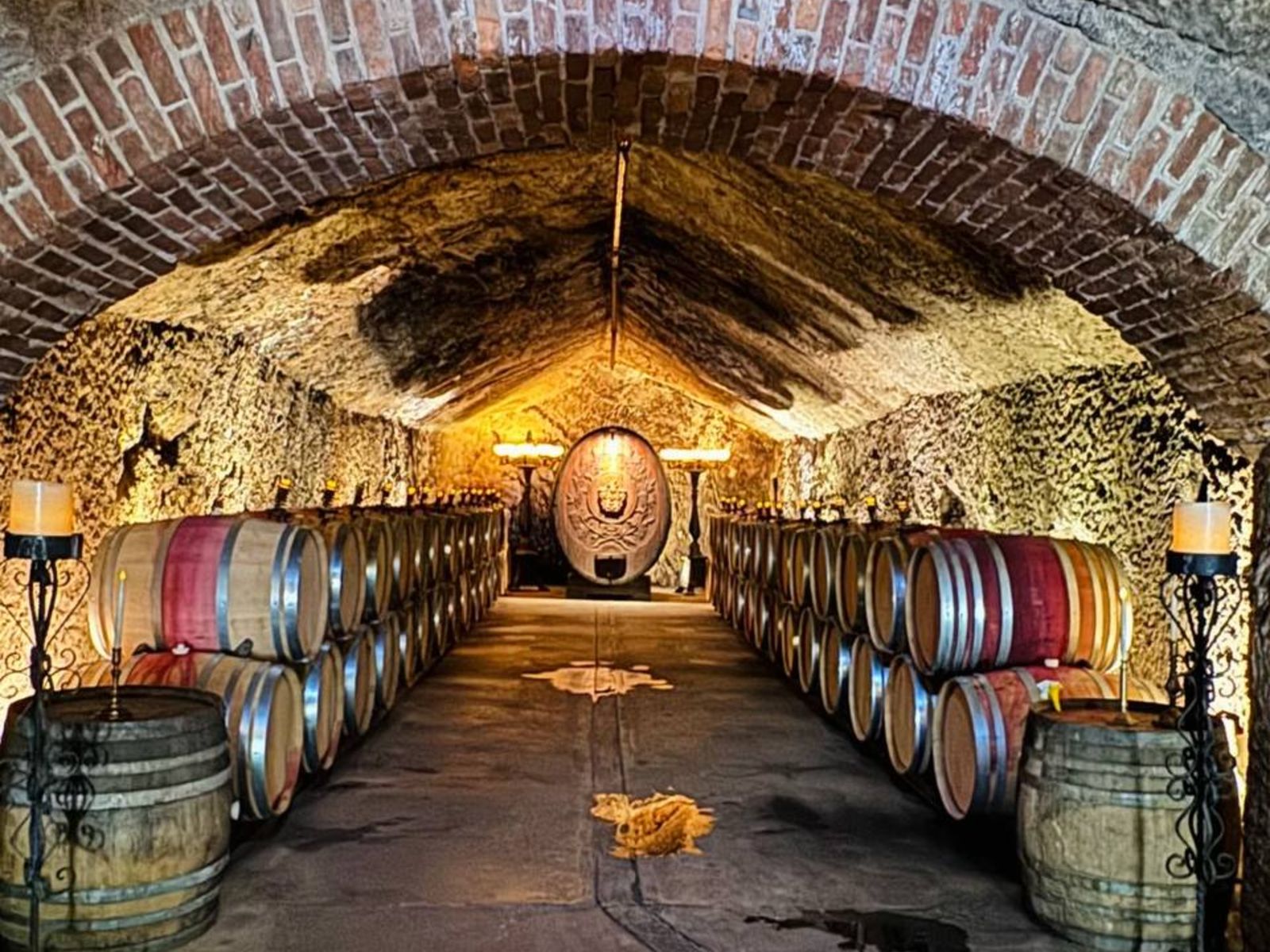 Визит на винодельню и ферму с дегустацией местных вин и оливкового масла 