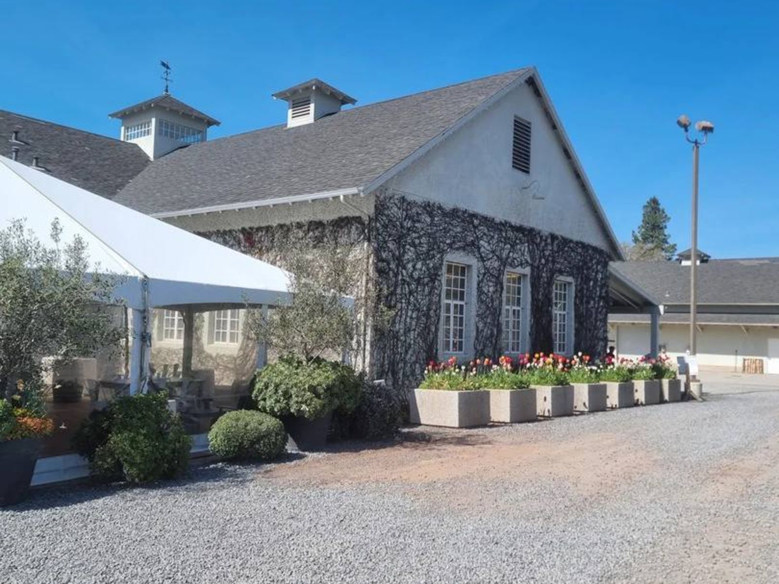 Обед на устричной ферме с видом на залив Толемас и рыбацкие лодки 