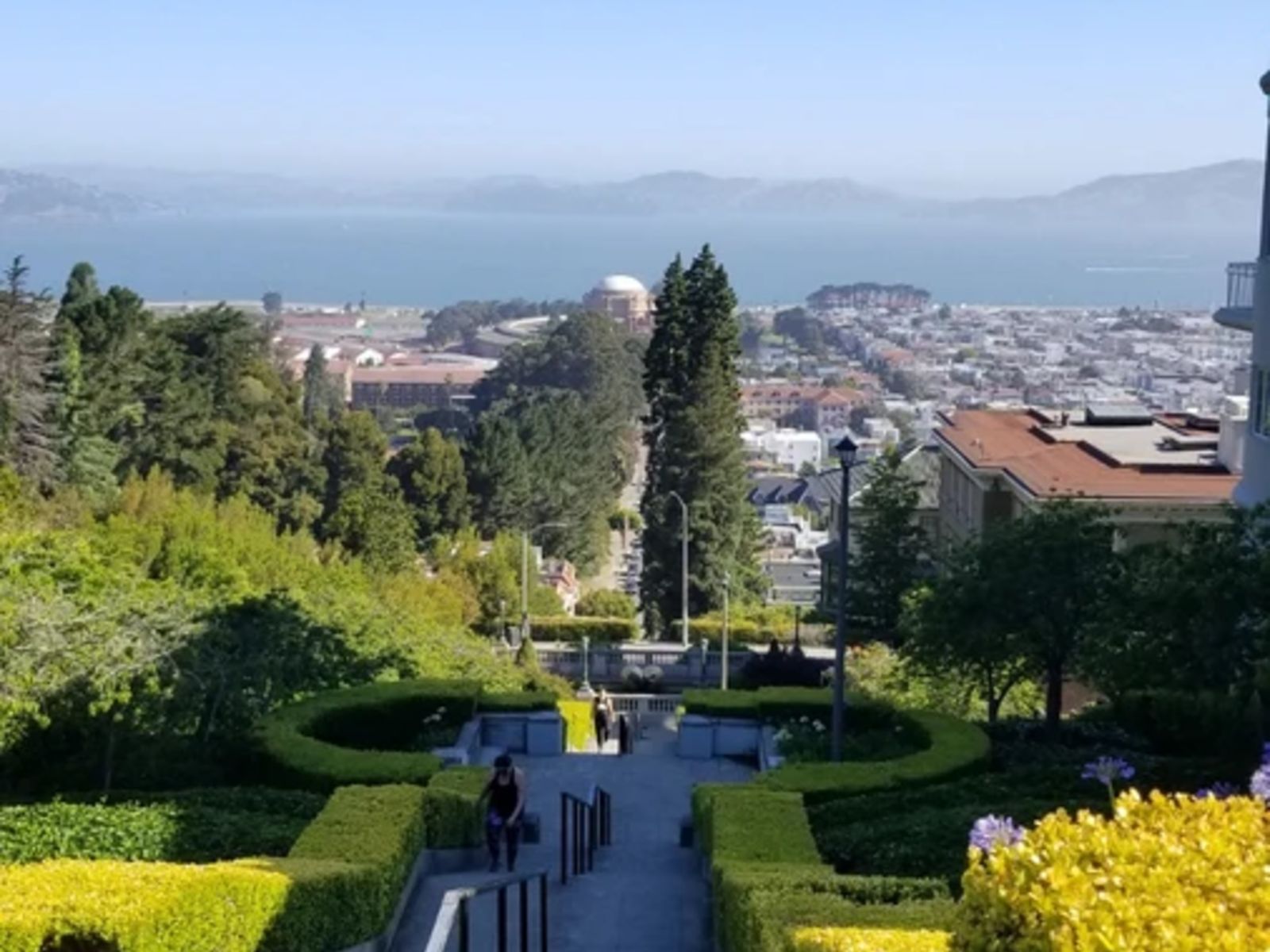 Вид с холма