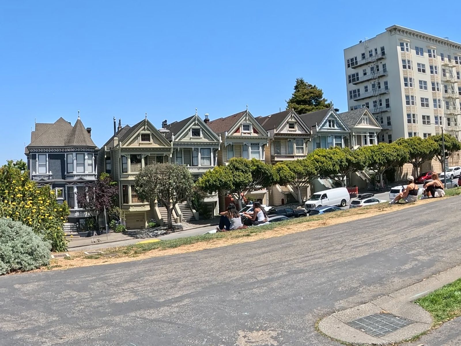 Painted Ladies