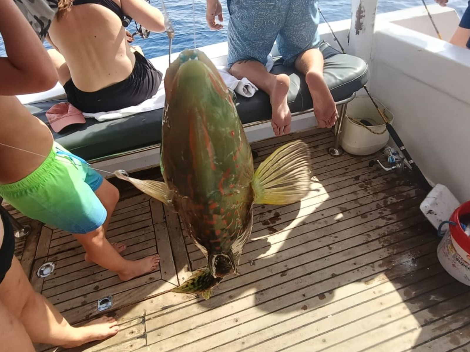 Крупный улов во время морской рыбалки в Хургаде