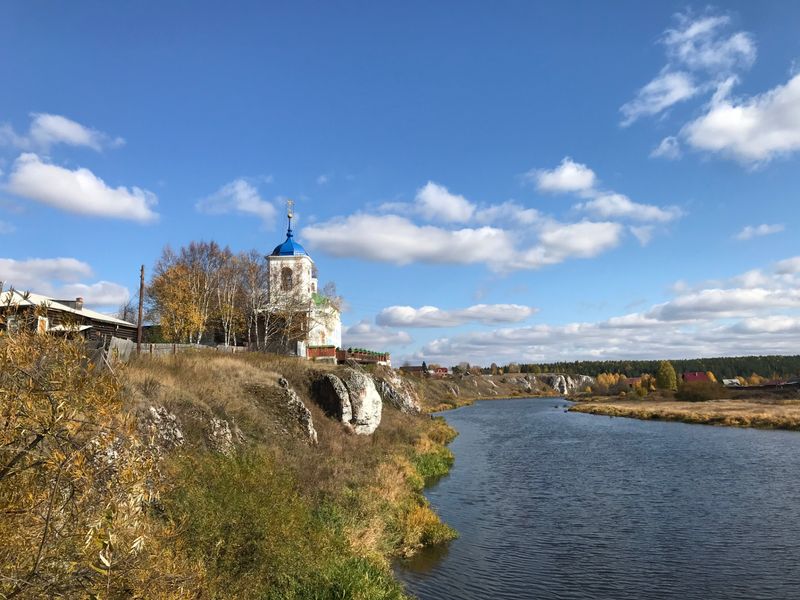 Виды