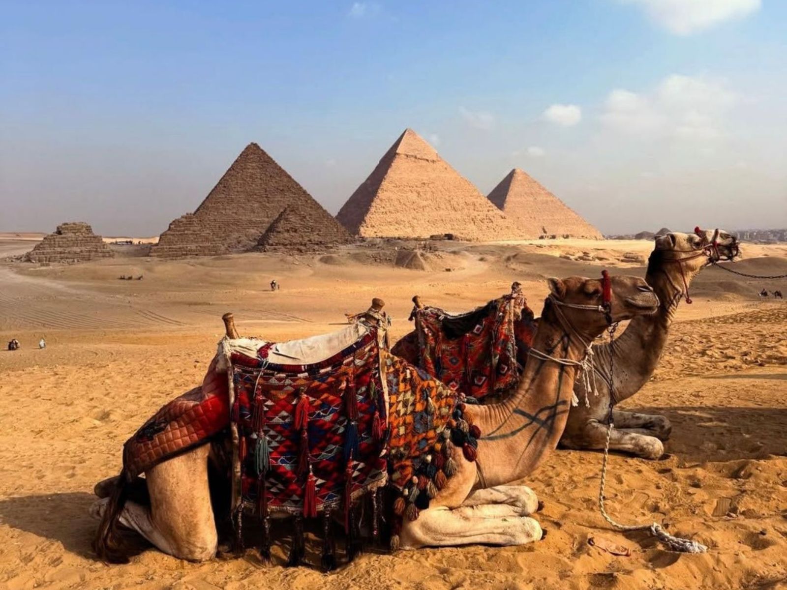 Корабли пустыни