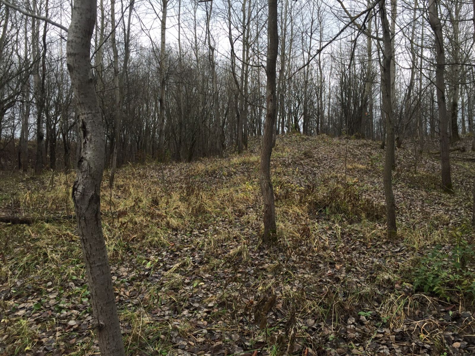 Место карьера