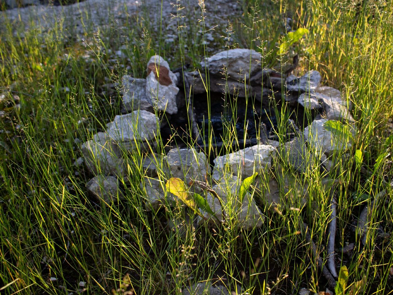 Индивидуальная экскурсия "Сунгирь: палеолитическая стоянка" - индивидуальная экскурсия во Владимире длительностью 2 часа с количеством участников до 7 человек цена экскурсии 10000₽