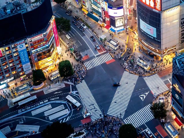 Ночная обзорная экскурсия в Токио для транзитных туристов