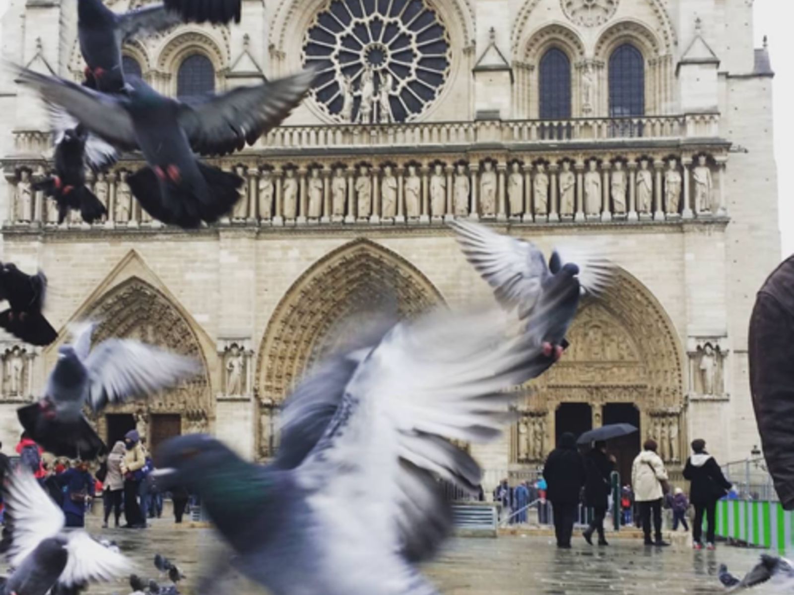 Нотр-Дам-де-Пари