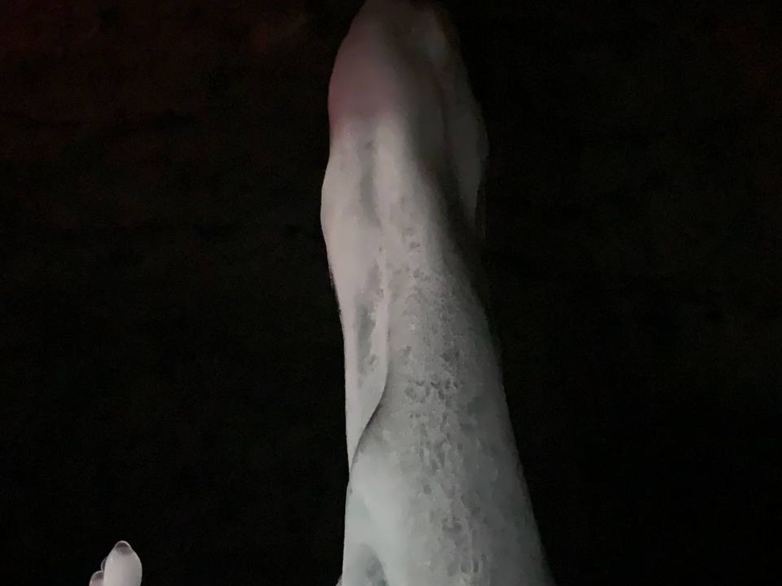 Хозяин пещеры