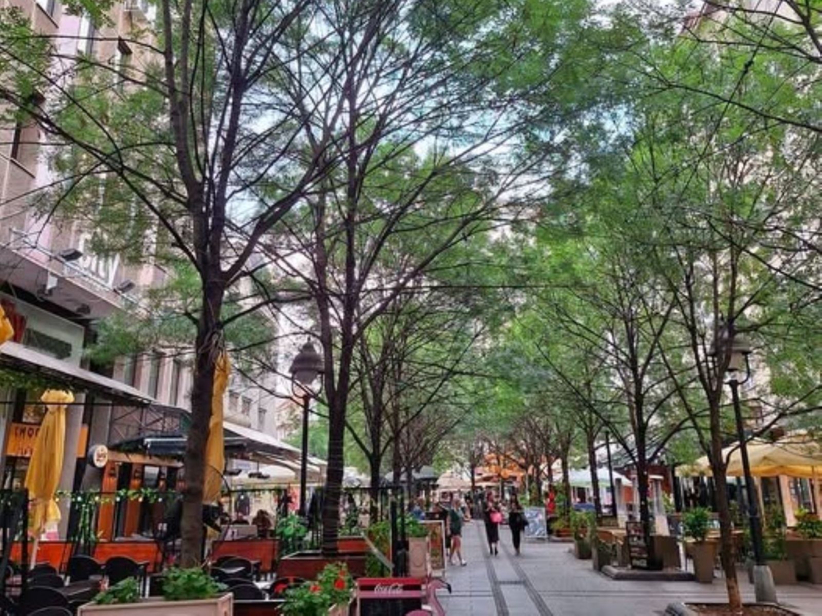 Обиличев Венац