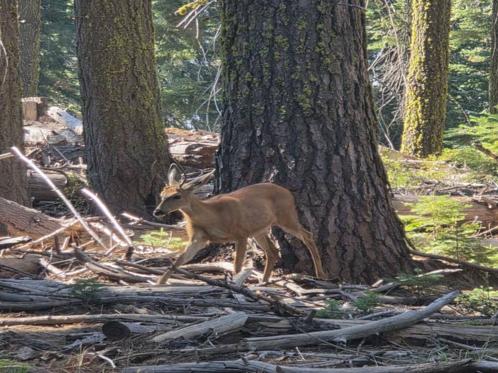 Место, где хочется дышать глубже 