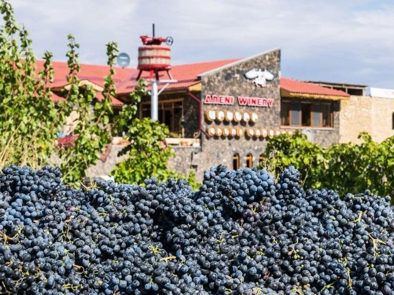 Винный завод