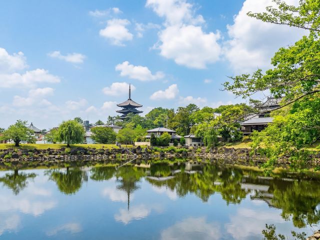 Индивидуальная обзорная экскурсия в Наре