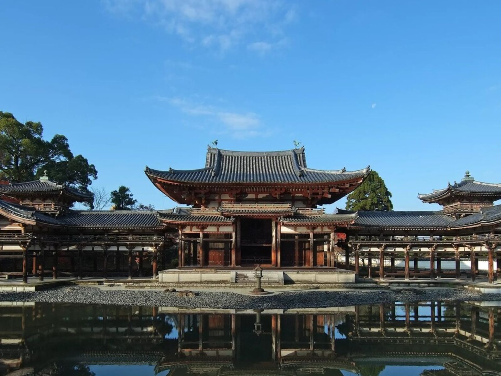 Павильон Феникса