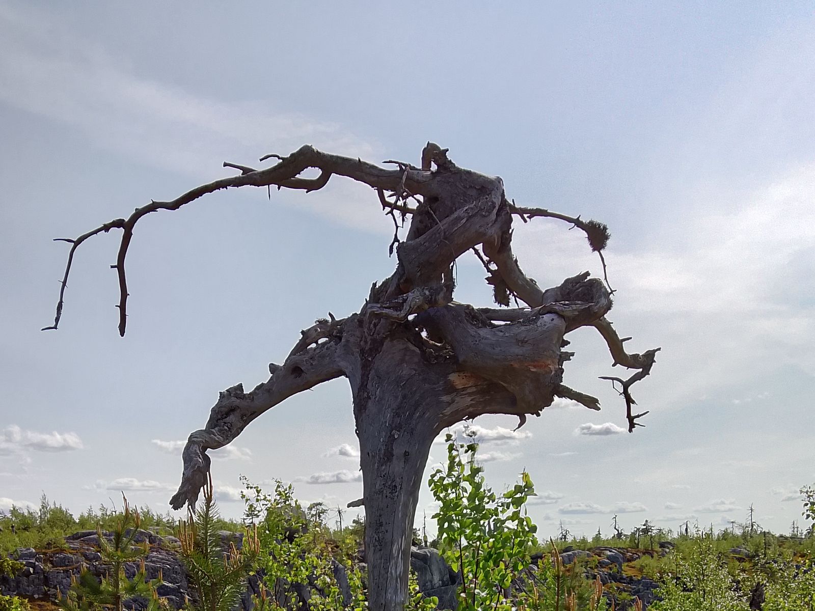 На маршруте