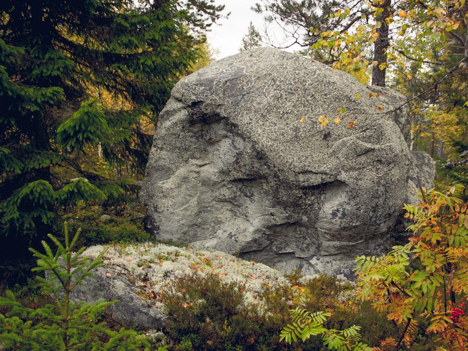 Необычный камень