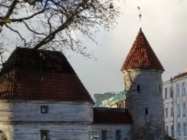 Индивидуальная экскурсия в Таллине: дегустация крафтового пива