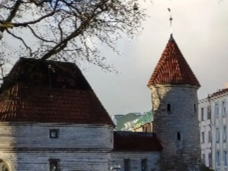 Индивидуальная экскурсия в Таллине: дегустация крафтового пива - индивидуальная экскурсия в Таллине пешком длительностью 2 часа с количеством участников до 4 человек со скидкой 25% цена экскурсии 97.5€