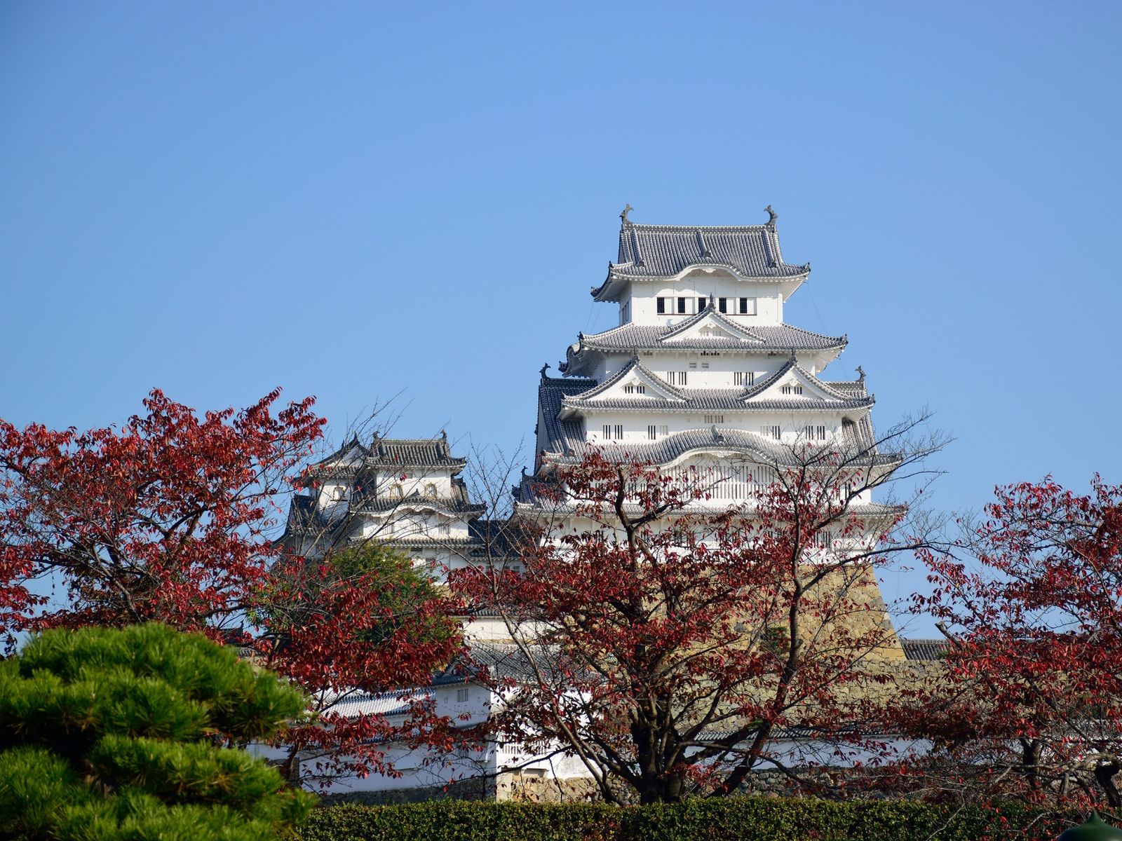 Белоснежный замок Одавара 