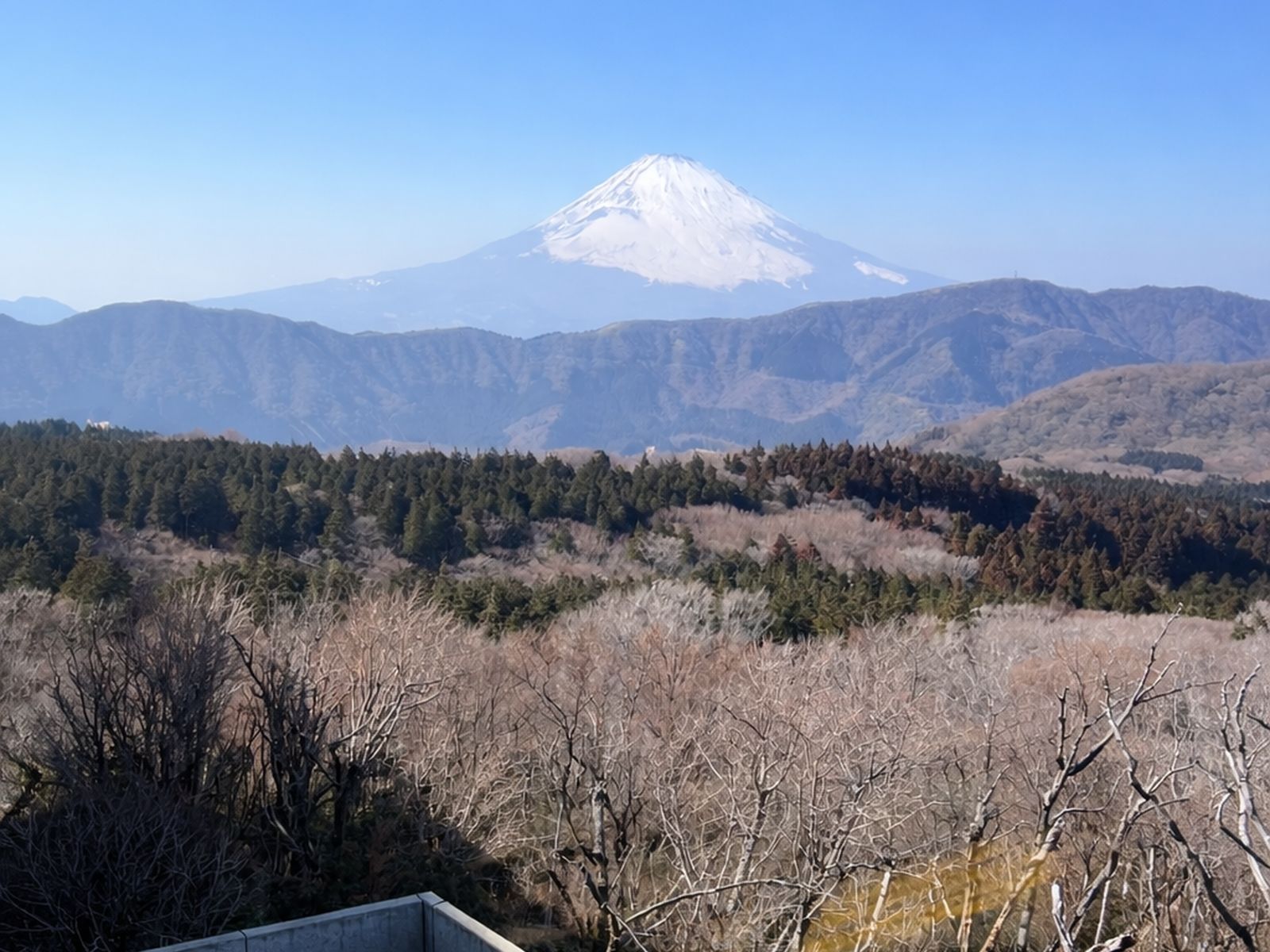 Заснеженная Фудзи под ясным небом