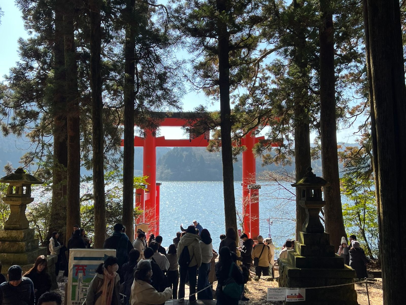 Алые тории у воды 