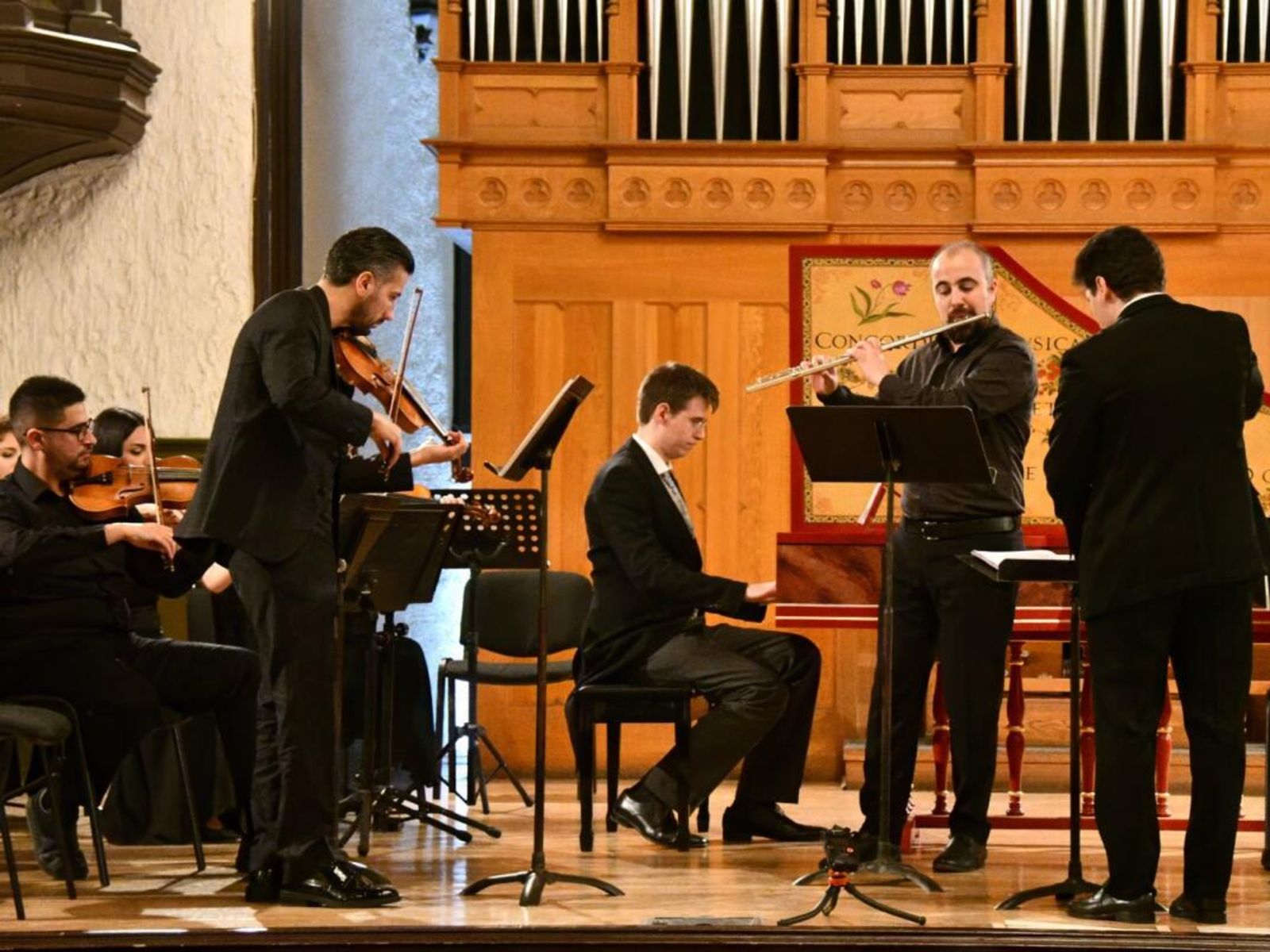 На концерте