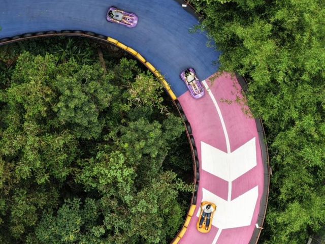 Обзорная экскурсия из Гуанчжоу на стеклянный мост в ущелье Гулун — фото 2