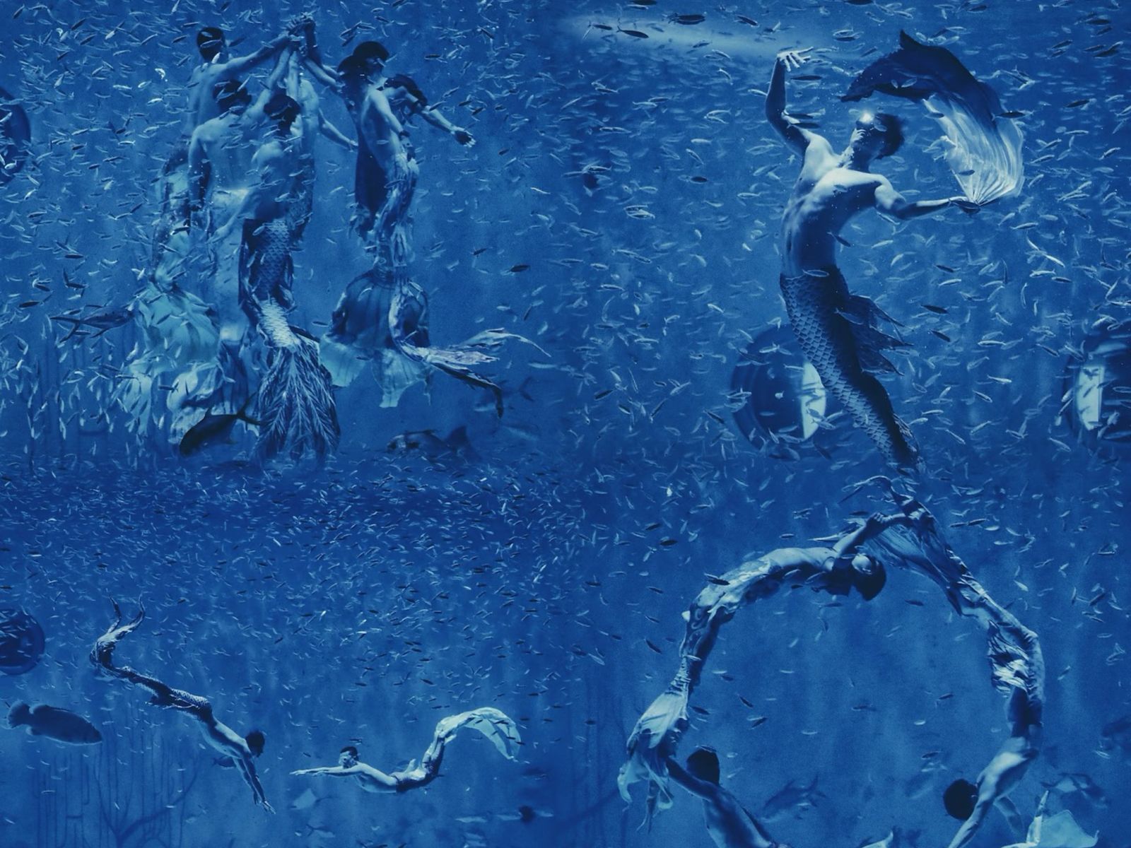 Сказочное шоу русалок